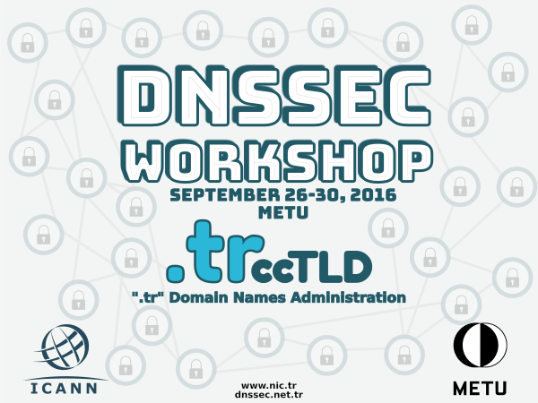 DNS Workshop